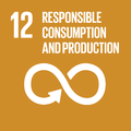 E SDG goals icons-individual-rgb-12.png